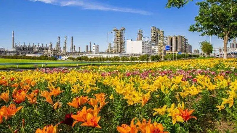 浙江无机化工原料市场报价：揭秘影响价格的关键因素